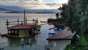 Muğla'da etkili olan sağanak nedeniyle Köyceğiz Gölü taştı, Menteşe ilçesinde de 2 ahırı su bastı.