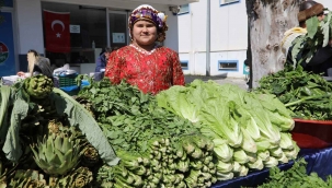 Bodrum acı ot festivaline binlerce kişi akın etti