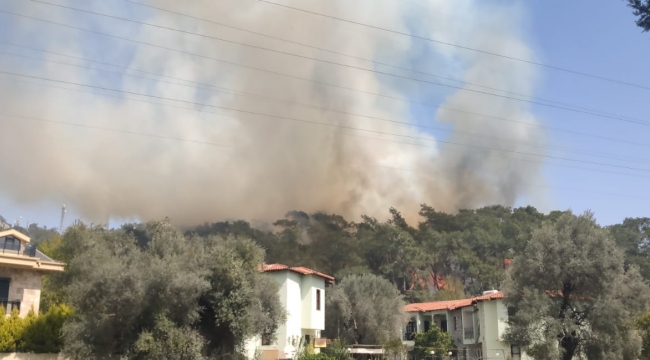 Göcek'deki orman yangını kontrol altına alındı