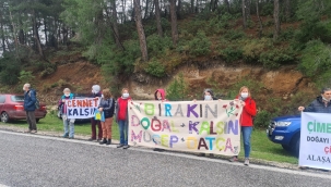 İkizköylüler ormanlarına adalet istiyor