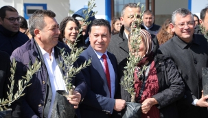 Konser gelirleri zeytin ağacına dönüştü