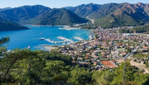 Koylarımıza dokunmayın.