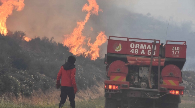 Bodrum'daki orman yangını 6 saat sonunda kontrol altına alındı 