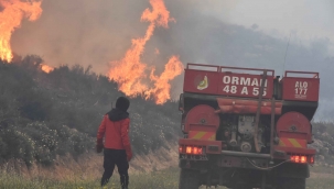 Bodrum’daki orman yangını 6 saat sonunda kontrol altına alındı