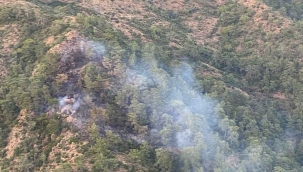 Fethiye’deki orman yangını kontrol altına alındı
