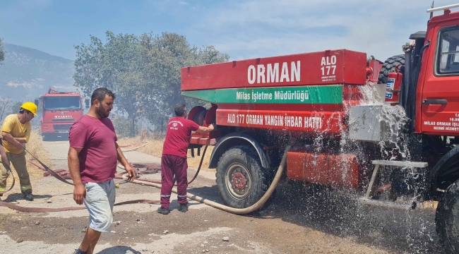 Fethiye ve Seydikemer’de çıkan orman yangınları söndürüldü