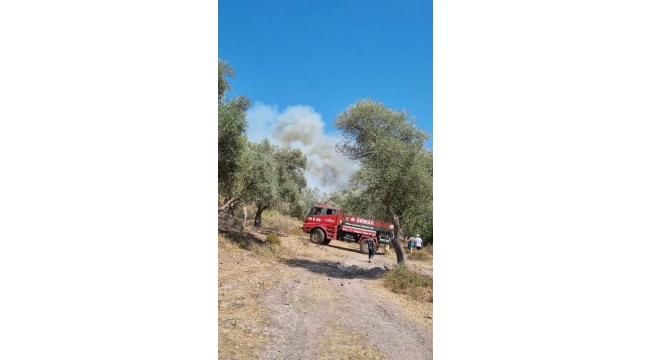 Bodrum'daki orman yangını kontrol altına alındı 