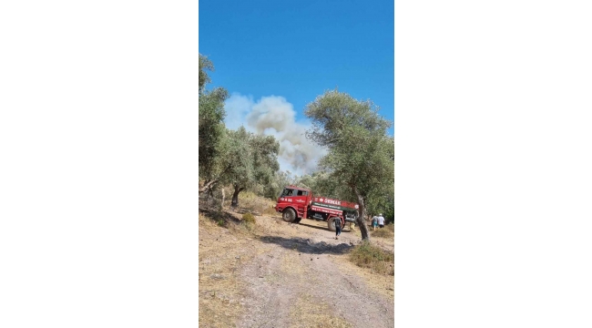 Bodrum’daki orman yangını kontrol altına alındı