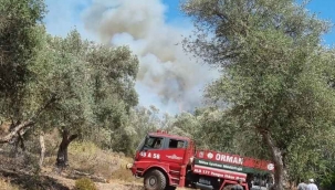 Bodrum’daki orman yangını kontrol altına alındı