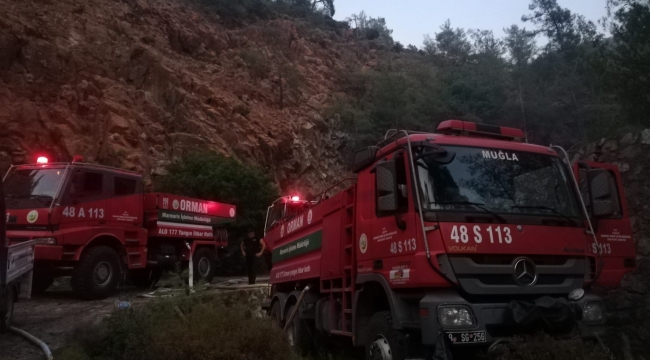 Marmaris'teki orman yangını kontrol altına alındı 