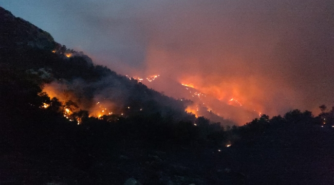 Meteoroloji'den Muğla'ya orman yangını uyarısı 