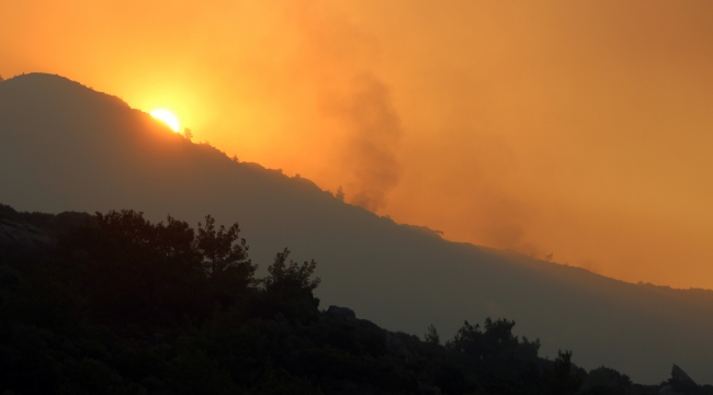 Meteoroloji'den Muğla'ya orman yangını uyarısı 
