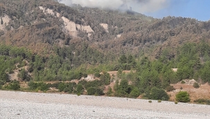 Söndürülen yangın zirveden patlak verdi