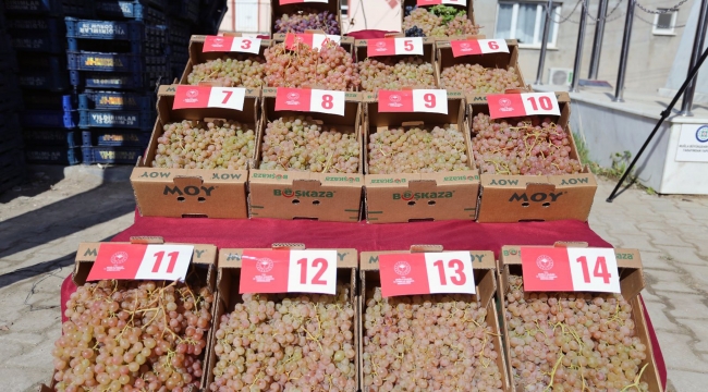 Arsa mahallesi Agro turizm merkezi oluyor