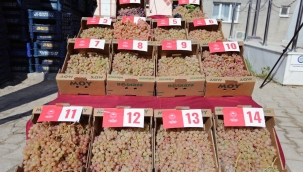 Arsa mahallesi Agro turizm merkezi oluyor