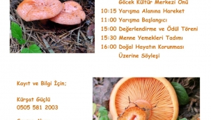 Göcek Menne Toplama Yarışması
