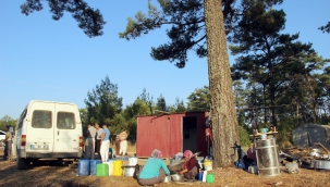 Arıcılara yangın tüpü zorunluluğu