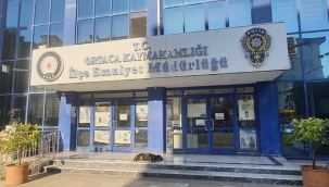 Sosyal medyada fotoğraf paylaşınca yakalandı