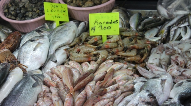 Balık fiyatları cep yakıyor 