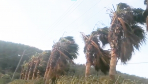 Fethiye'de yağış etkisini gösterecek