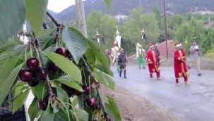 Nif Kiraz Festivali Başlıyor