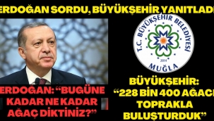 Cumhurbaşkanı Erdoğan Muğla Büyükşehir’i hedef aldı; Kaç fidan diktiniz?