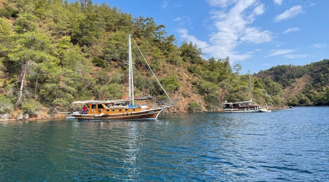 AYTEN KOYUDA KİRALANIYOR