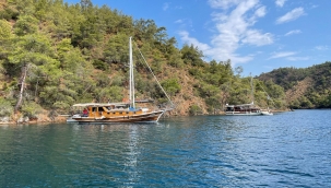 AYTEN KOYUDA KİRALANIYOR