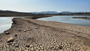 Muğla'da Kırmızı Alarm Su Seviyeleri Kritik Noktada