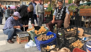 Çıntar bolluğu satıcıların yüzünü güldürdü