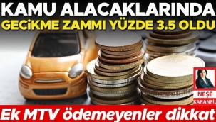 Ek MTV ödemeyenler dikkat... Kamu alacaklarında gecikme zammı yüzde 3.5 oldu
