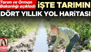 İşte tarımın dört yıllık yol haritası
