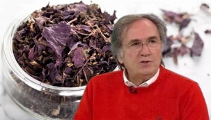 Omega-3 deposu! Prof. Dr. İbrahim Saraçoğlu'ndan zihinsel performansı artırıcı bitki: 