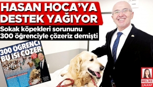 Hasan Hoca umut oldu... Sokak köpekleri sorununu 300 öğrenciyle çözeriz demişti