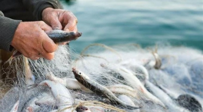 Balıkçılar dikkat! Denizlerde av yasağı başladı 