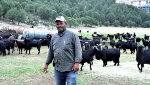 MUĞLA’DA BU SENE KURBANLIKLAR NE KADAR?