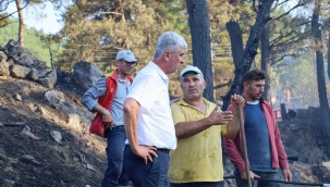 Köyceğiz'deki yangın kontrol altına alındı
