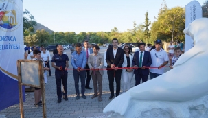 Akdeniz Keşiş Fokların korunması