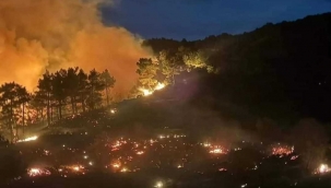Muğla’nın Köyceğiz ilçesinde orman yangını başladı.