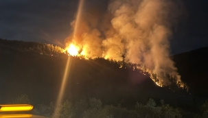 Ortaca da orman yangını
