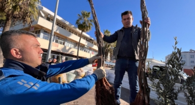 Dalaman'da Zeytin ve Ceviz Fidanları Dağıtıldı