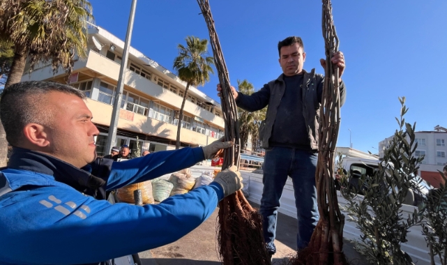 Dalaman'da Zeytin ve Ceviz Fidanları Dağıtıldı