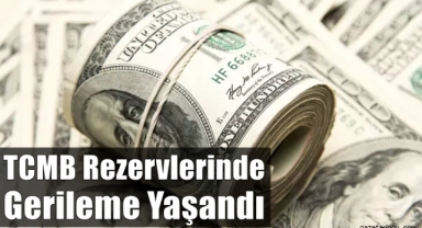 Merkez'in rezervlerinde hızlı gerileme