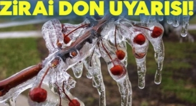 Muğla'da Zirai Don Uyarısı: Çiftçiler Dikkatli Olmalı!