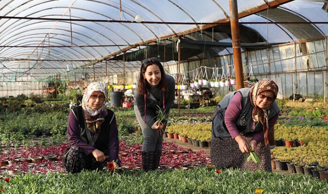 Alım Garantili Üretim Yerel Üreticiye Kazandırıyor, Kent Estetiğine Katkı Sağlıyor