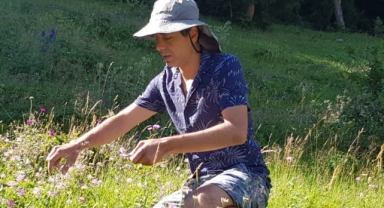 Doktor Orçun Törer Akdeniz'in en önemli tıbbi bitkilerini anlatıyor.
