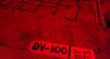 İztuzu Plajı'nda yuvalama alanı100'e ulaştı