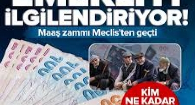 Emekli maaşı zammı Meclis'ten geçti