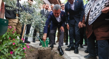 Zeytinlik talanına karşı Muğla'da büyük miting... Özgür Özel'den 'AYM'ye çağrı!