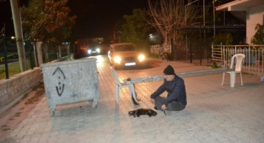 Baktığı sokak kedisi ezilince, sokağı kapatıp eylem yapmıştı.O eylem ses getirdi. 